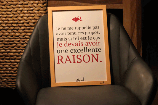 Affiche A4 Je devais avoir raison