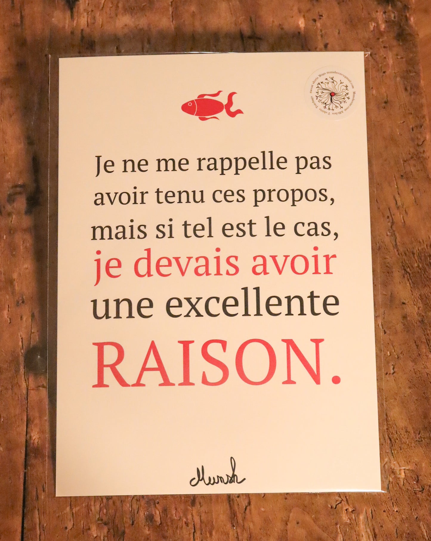 Affiche A4 Je devais avoir raison