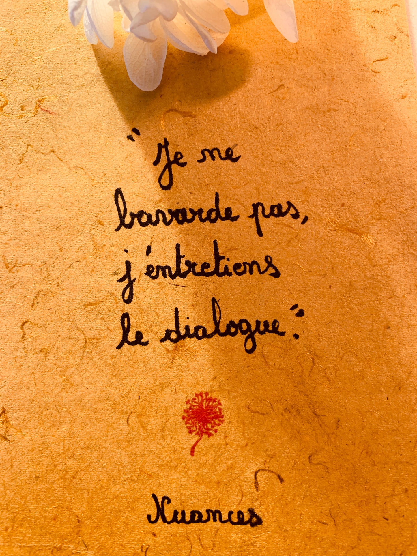 Cadre en bois : Je ne bavarde pas, j'entretiens le dialogue