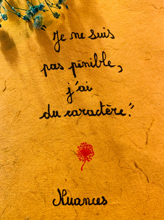 Cadre en bois : "Je ne suis pas pénible, j'ai du caractère"