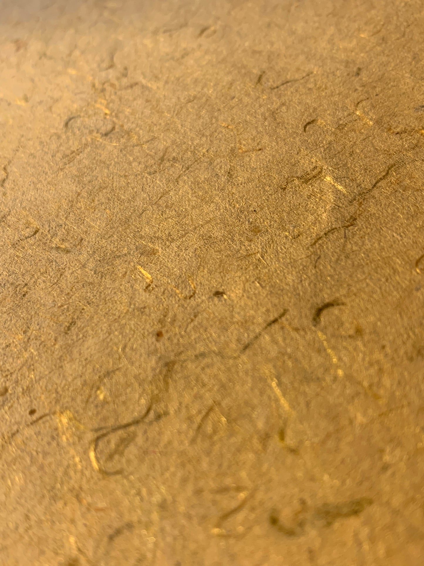 Cadre en bois : "Prétendre contenter ses desirs par la possession..."