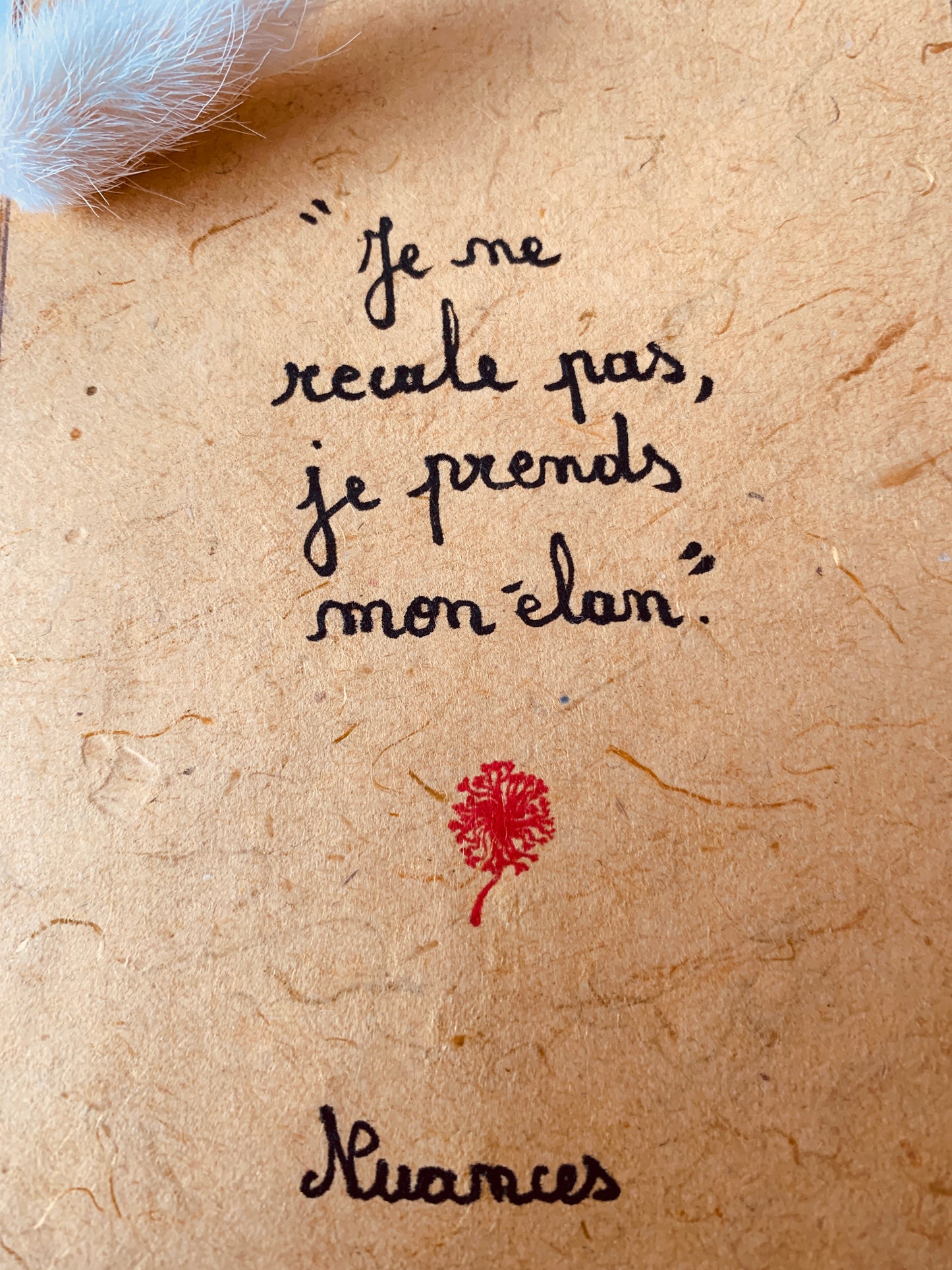 Cadre en bois : "Je ne recule pas, je prends mon élan"