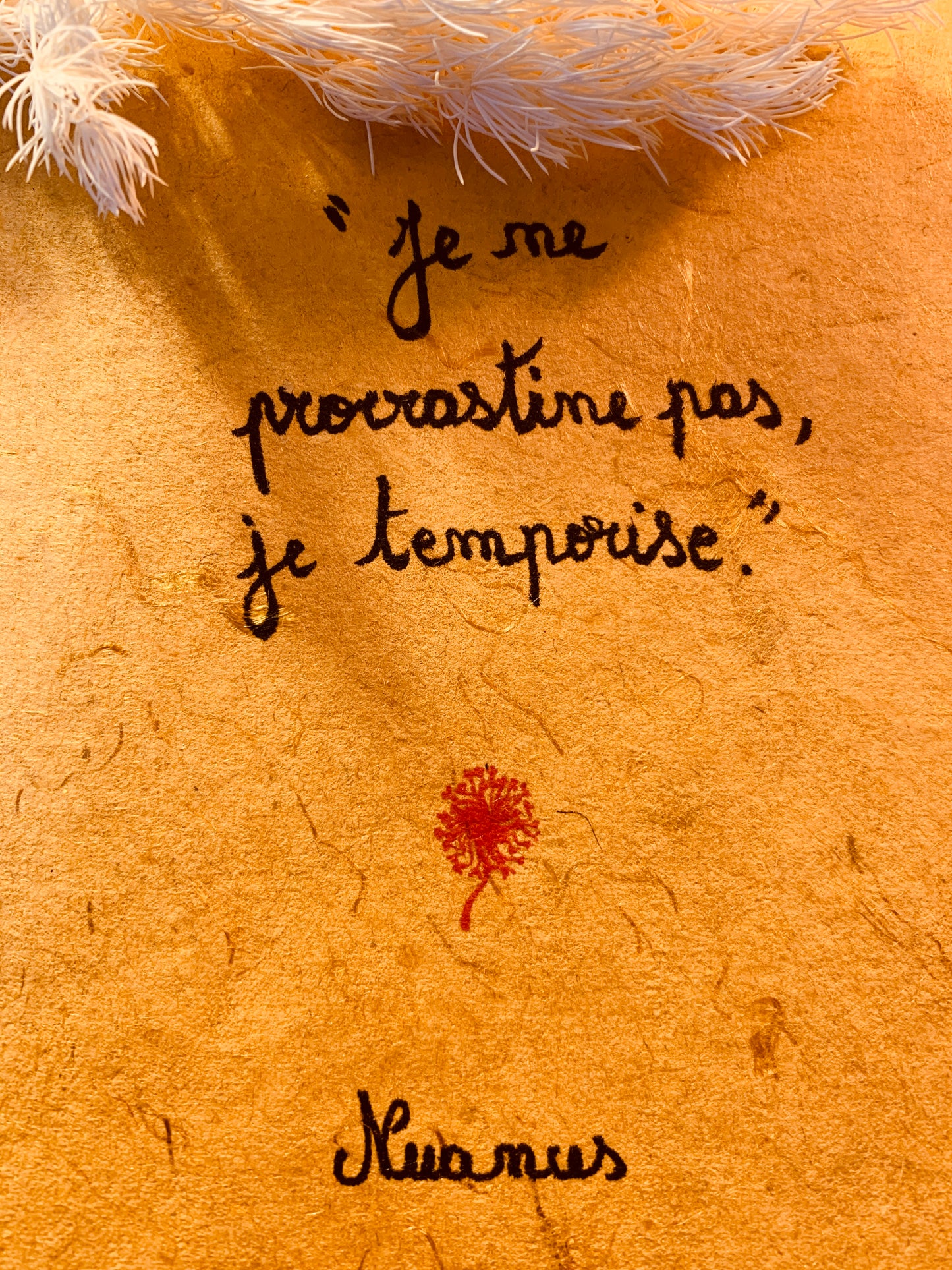 Cadre en bois : "Je ne procrastine pas, je temporise"