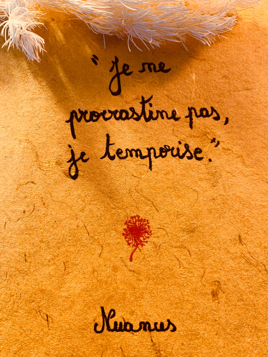 Cadre en bois : "Je ne procrastine pas, je temporise"