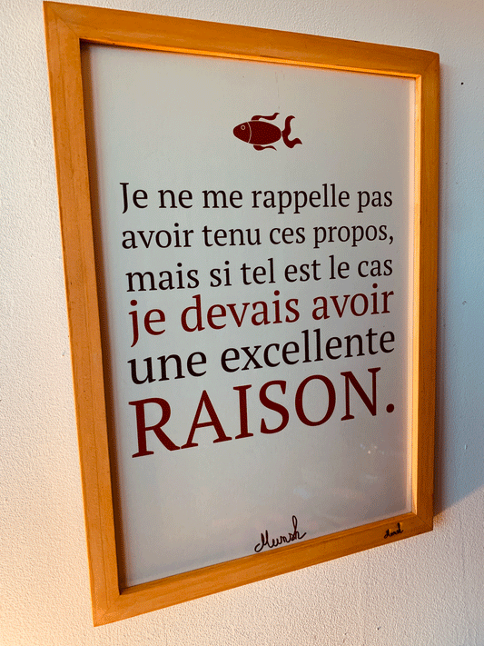 Affiche A4 Je devais avoir raison