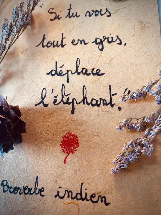 Cadre en bois : "Si tu vois tout en gris, déplace l'éléphant"